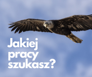 Jakiej pracy szukasz?